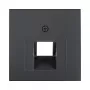 Berker 1407 16 06 Central Plate for UAE (RJ45) Socket, 2-Gang, Anthracite (55x55mm)