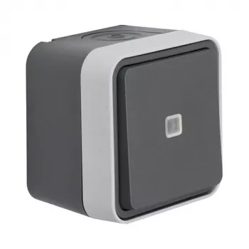 Berker 30763525 W.1 Surface-Mounted Illuminated Changeover Switch, Grey