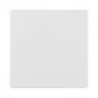 Berker 75940409 Central Plate for Sensor Insert, Polar White Glossy