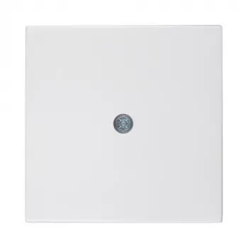 Berker Central Plate for Cable Outlet, Polar White (55x55mm, IP20, Flush-Mount) - 10198989