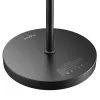 BLITZWOLF Double Floor Lamp with Remote BlitzWill BWL-FL-0001, 36W (Black)