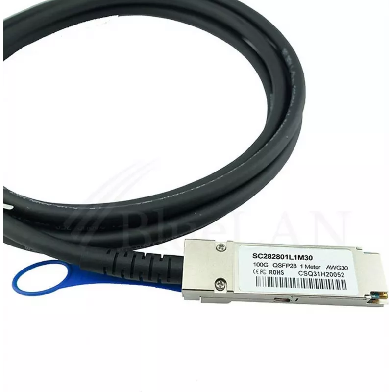 BLUELAN Compatible HPE Aruba R0Z25A Direct Attach Cable, 100GBASE-CR4, InfiniBand EDR, 30AWG, 1 Meter (R0Z25A-BL)