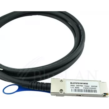 BLUELAN Compatible Mellanox MCP1650-V00AE30 QSFP56 Direct Attach Cable, 200GBASE-CR4, InfiniBand, 30AWG, 0.5 Meter (MCP1650-V00AE30-BL)