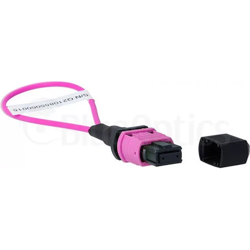 BlueOptics Loopback Adapter MPO/MTP Multimode OM4
