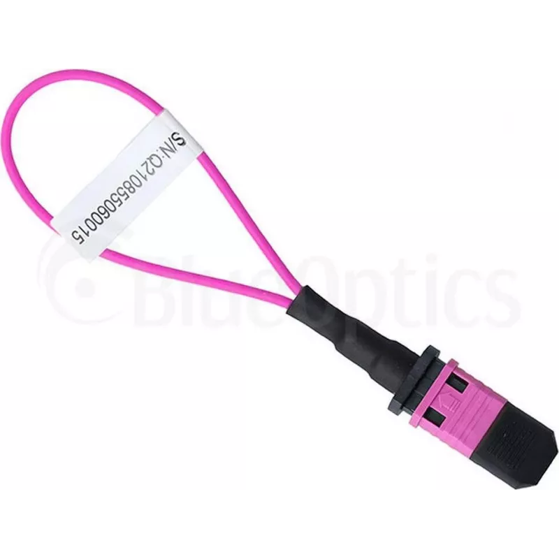 BlueOptics Loopback Adapter MPO/MTP Multimode OM4