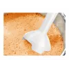 Bosch MSM14200 Hand Blender