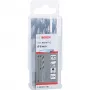 Bosch PowerTools HSS PointTeQ Hex Twist Drill Bit, 6 mm, 10 Pieces, Working Length 57 mm
