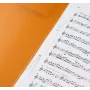BRUNNEN FACT! Report File Translucent Green DIN A4 Polypropylene 150 Sheets