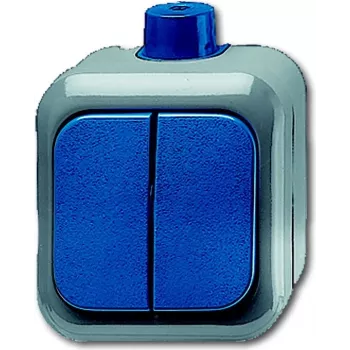 Busch-Jaeger 1084-0-0839 Rocker Switch Insert, 1-Pole Changeover, 10 AX, 250 V, Flush-Mount, Blue/Grey