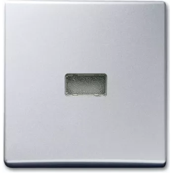 Busch-Jaeger 1731-0-1965 Central Plate Aluminium for Switch/Push-Button