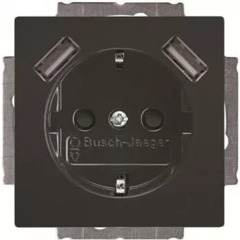 BUSCH-JAEGER BJ 20 EUCB2USB-81 SCHUKO Socket Outlet with 2 USB Ports, Alpine White 2CKA002011A6267
