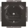 BUSCH-JAEGER BJ 20 EUCB2USB-81 SCHUKO Socket Outlet with 2 USB Ports, Alpine White 2CKA002011A6267