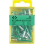 C.K Tools T3819A 508 Blind Rivets 4.8 x 19 mm Aluminium/Steel Dome Head (50 pcs)