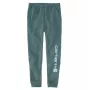 Carhartt Men's Graphic Jogger Sweatpants - Loose Fit, Midweight Cotton Blend, Elastic Waist, Triple-Stitched