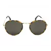 Carrera 151/S Sunglasses Unisex Havana Brown Gradient 52mm
