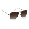 Carrera 247/S Men's Sunglasses - Havana Frame, Brown Lens, 58mm
