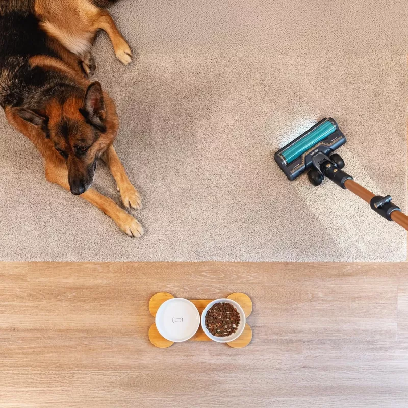 Cecotec Conga Rockstar RX70 AquaPet Flex Cordless Vacuum, 780 W