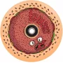 Chubby Wheel 110mm Burger Boy Scooter Wheel - 88A Urethane, Aluminum Core