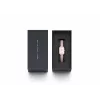 DANIEL WELLINGTON Petite Lumine Women's Watch 20mm Rose Gold Stainless Steel Mesh Mother of Pearl Dial DW00100509