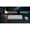 Dark Project ALU81A Terra Nova White Mechanical Keyboard, G3MS Moonstone Switch, US ANSI