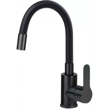 DEANTE Arnika Washbasin Mixer with Curved Spout, Chrome