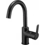 DEANTE BQA N24M Single-Lever Basin Mixer Chrome