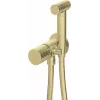 DEANTE Concealed Bidet Faucet with Bidetta Handset