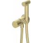 DEANTE Concealed Bidet Faucet with Bidetta Handset