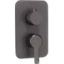 DEANTE External Element for Mixer BOX - Gold, Wall-Mounted, Single Lever, PVD Finish