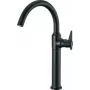 DEANTE High Basin Mixer Matte Black Arnika Nero