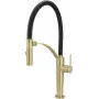 DEANTE Kitchen Faucet with Flexible Spout - 2 Types of Spray, Matte Black