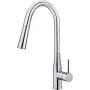 DEANTE Kitchen Faucet with Pull-Out Spout - 2 Jet Types, Chrome
