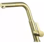 DEANTE Kitchen Faucet with Pull-Out Spout