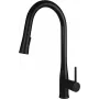 DEANTE Kitchen Faucet with Pull-Out Spout, Black Granite Composite, Single-Hole Deck Mount, Brass, 2-Function Spray
