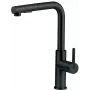 DEANTE Kitchen Faucet with Pull-Out Spout Chrome