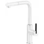 DEANTE Kitchen Faucet with Pull-Out Spout Chrome