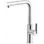 DEANTE Kitchen Faucet with Pull-Out Spout Chrome