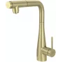 DEANTE Kitchen Faucet with Water Filter Connection and Pull-Out Spout, Chrome