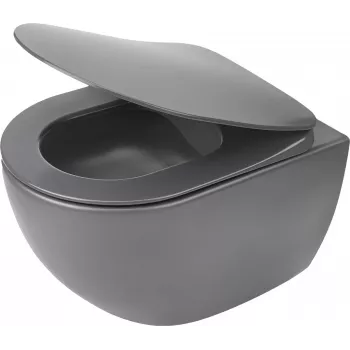 DEANTE Rimless Wall-Hung Toilet with Soft-Close Seat, White, D-Shape