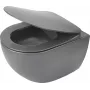 DEANTE Rimless Wall-Hung Toilet with Soft-Close Seat, White, D-Shape