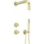 DEANTE Shower Set with Overhead Shower Head - Black