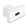Delock Easy 45 Module EASY-USB 2.0 Type-A Female to EASY-USB Type-A Female White 90866