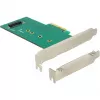Delock PCI Express x4 Card to 1 x Internal NVMe M.2 Key M 110 mm - Low Profile Form Factor