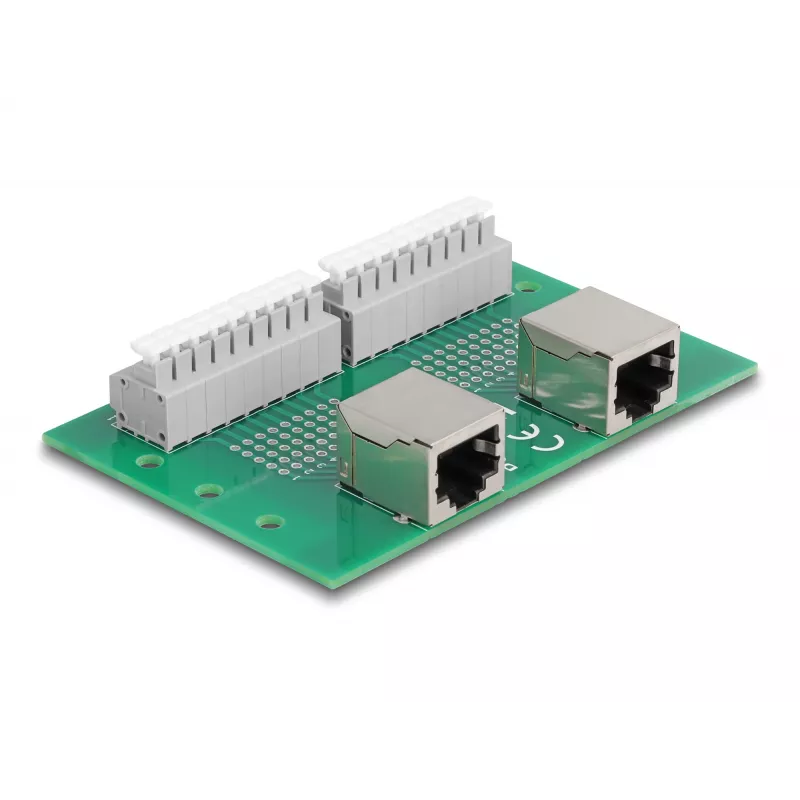 Delock RJ45 2 x Female to 2 x Terminal Block with Push Button for DIN Rail (66994)