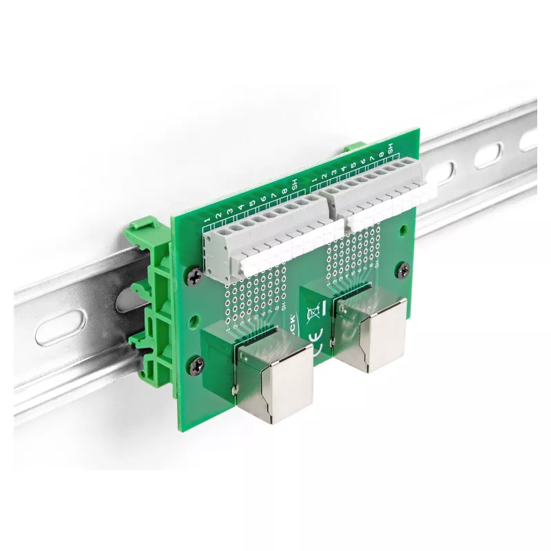 Delock RJ45 2 x Female to 2 x Terminal Block with Push Button for DIN Rail (66994)