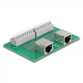 Delock RJ45 2 x Female to 2 x Terminal Block with Push Button for DIN Rail (66994)
