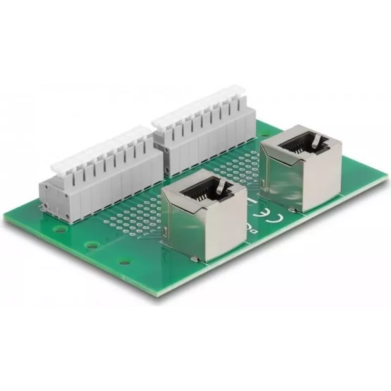 Delock RJ45 2 x Female to 2 x Terminal Block with Push Button for DIN Rail Angled (66995)