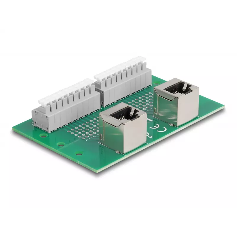 Delock RJ45 2 x Female to 2 x Terminal Block with Push Button for DIN Rail Angled (66995)