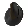 Delux M618 Mini Gold Ergonomic Mouse - 2.4G / Bluetooth 5.0 / USB-C, 4000 DPI, Right-Handed Vertical