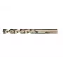 DEWALT EXTREME 2 HSS-G Metal Drill Bit 10.5 mm, 10-Piece Set